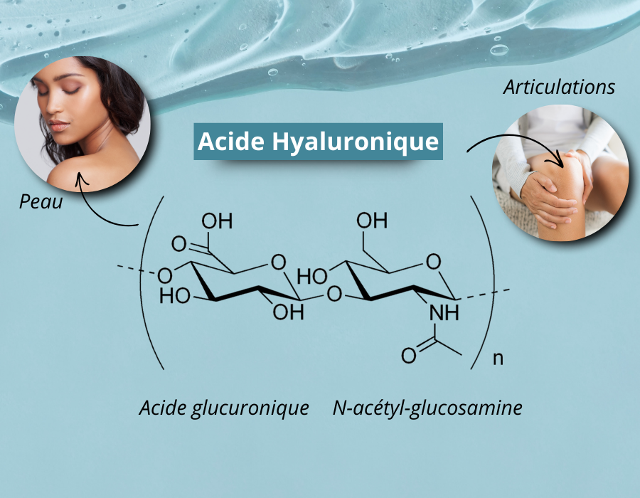 Structure moléculaire de l'acide hyaluronique ExceptionHYAL® Star